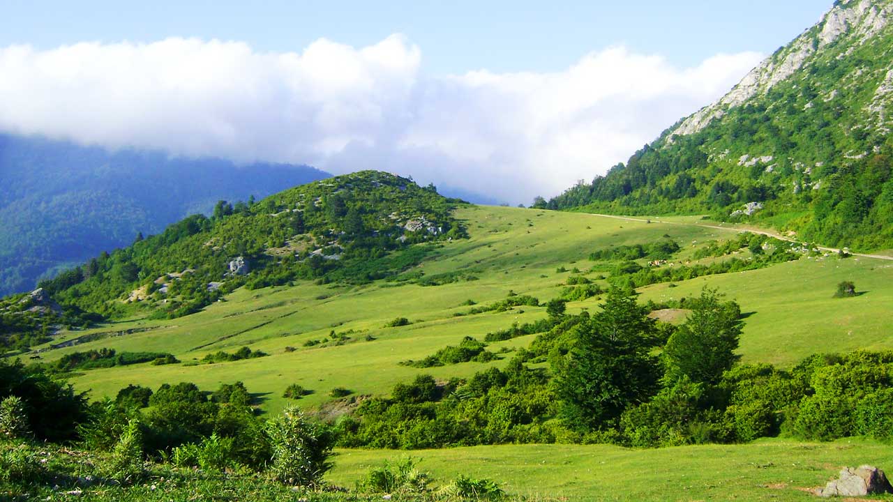 Sakarya Adapazarı yaylaları