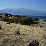 Saint Paul yolu Aşağıtırtar Dikmen çiftliği parkuru