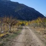 Saint Paul yolu Aşağıtırtar Dikmen çiftliği parkuru