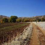 Saint Paul yolu Eyüpler Aşağıtırtar parkuru