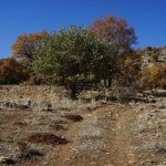 Saint Paul yolu Eyüpler Aşağıtırtar parkuru