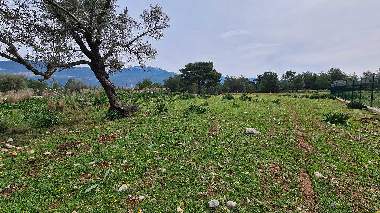 Xanthos antik kenti bitişiği arazi